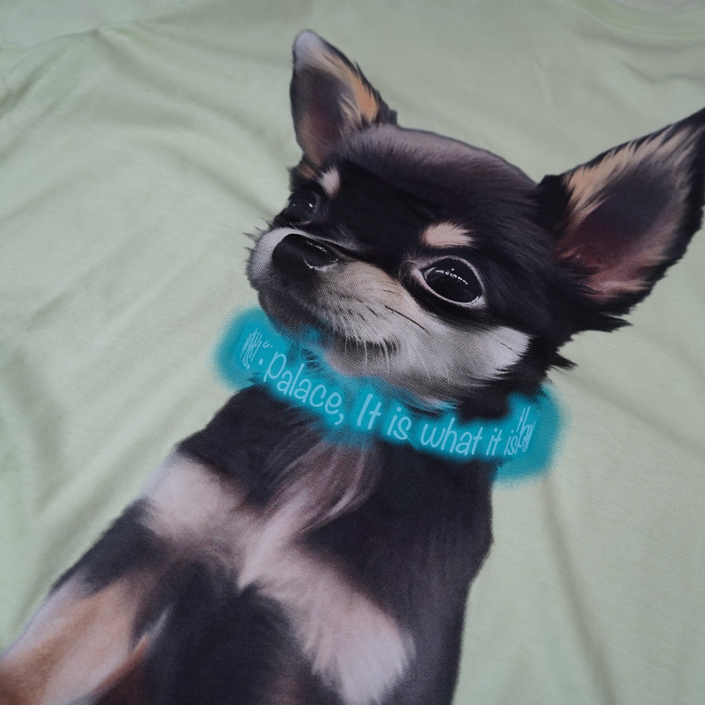 Palace Graphic T-shirt